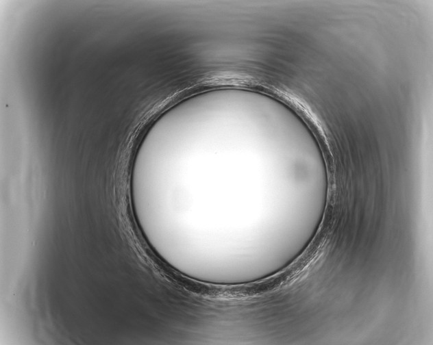 X0000093740529200710160752