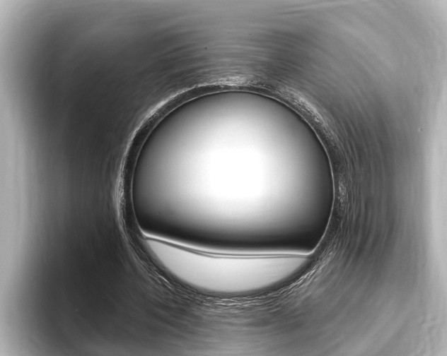 X0000093740532200710160752