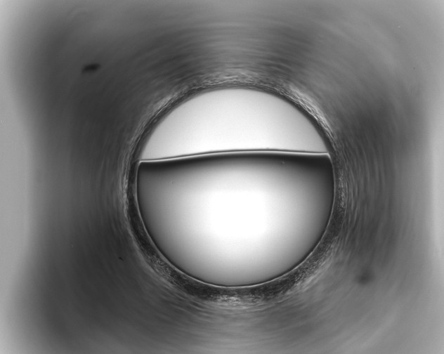 X0000093740538200710160752