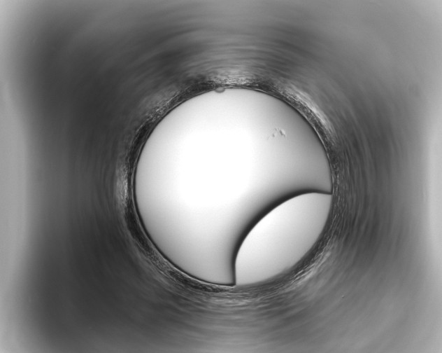 X0000093740541200710160752