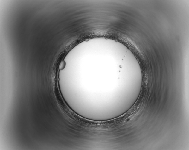 X0000093740542200710160752