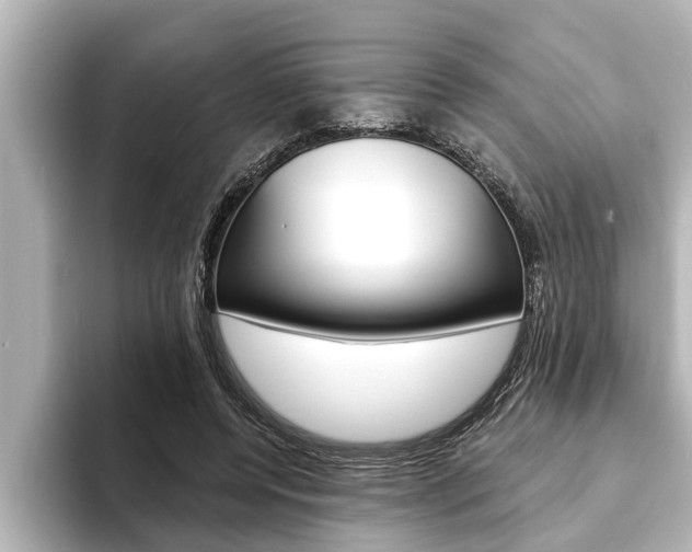 X0000093740544200710160752
