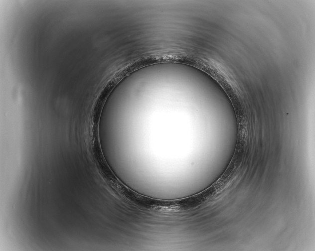 X0000093740548200710160752