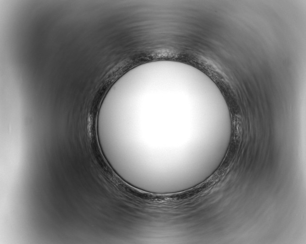 X0000093740550200710160752