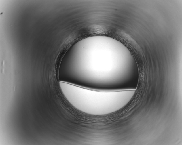 X0000093740552200710160752