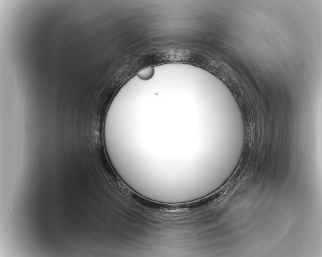 X0000093740553200710160752