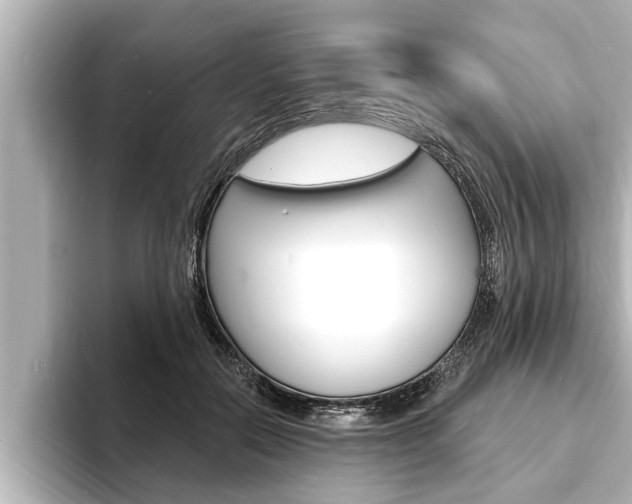 X0000093740554200710160752