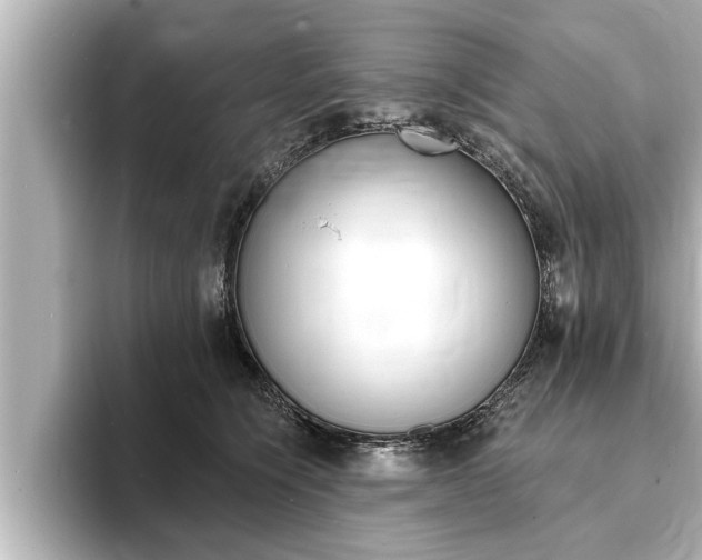 X0000093740564200710160752
