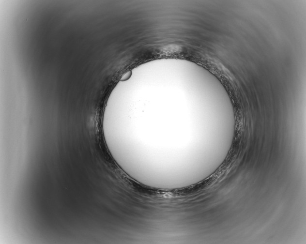X0000093740565200710160752