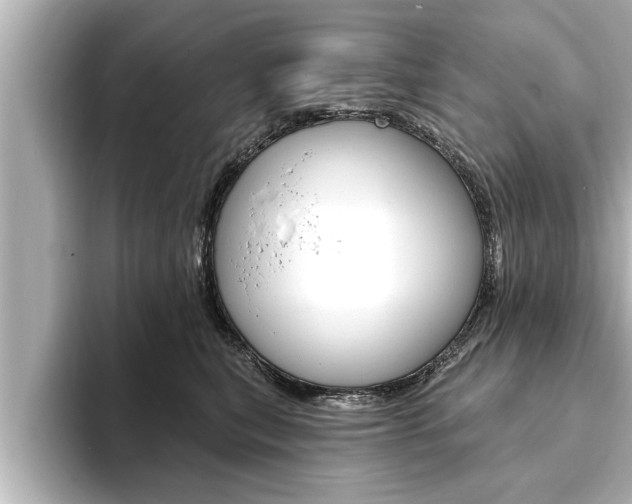 X0000093740567200710160752