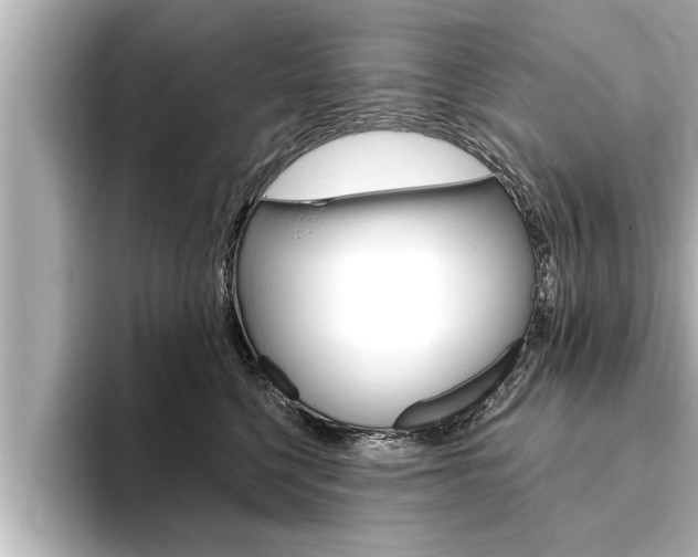 X0000093740568200710160752