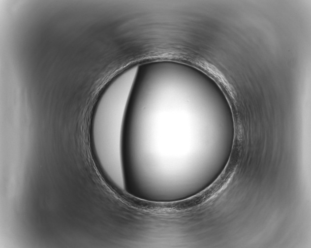 X0000093740577200710160752