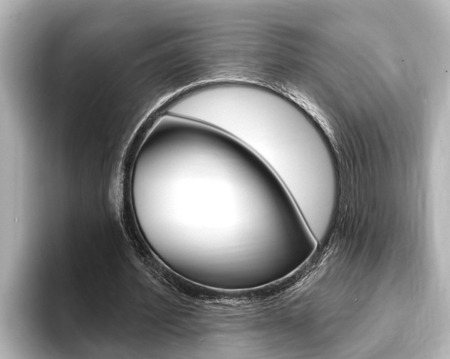 X0000093740580200710160752