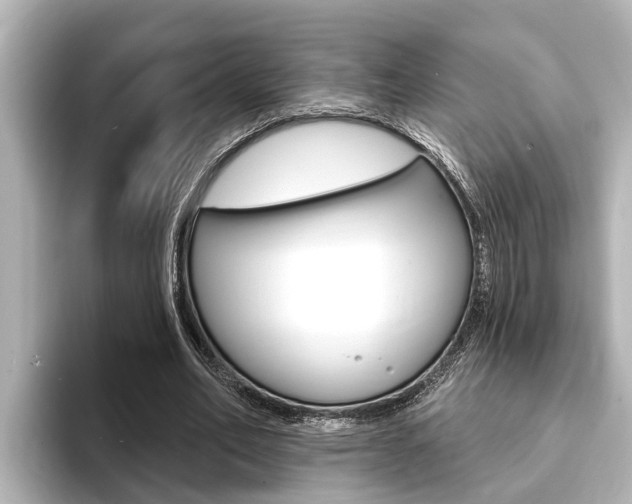 X0000093740582200710160752