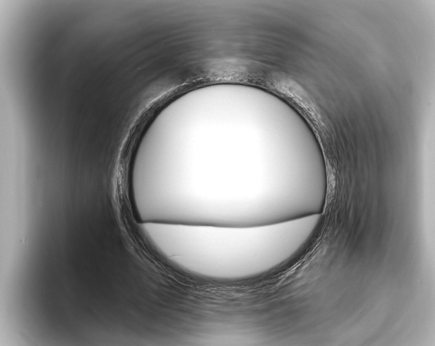 X0000093740583200710160752