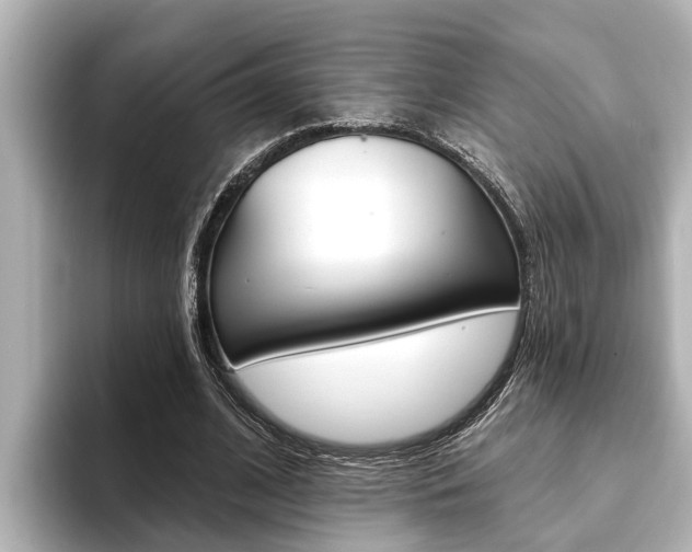 X0000093740584200710160752