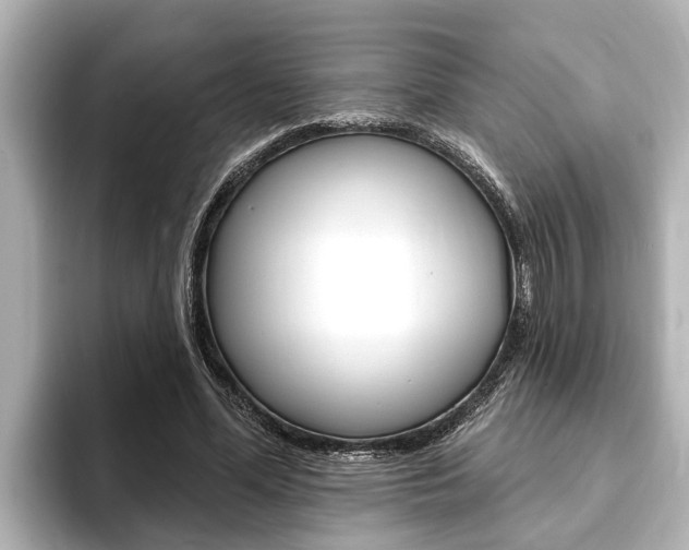 X0000093740588200710160752