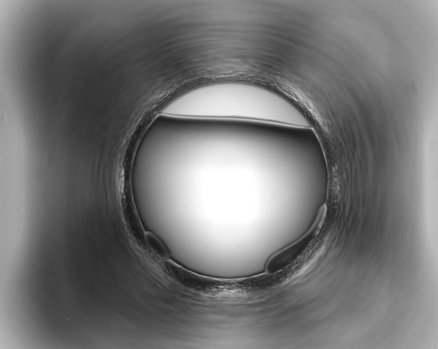 X0000093740589200710160752