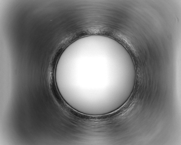 X0000093740590200710160752