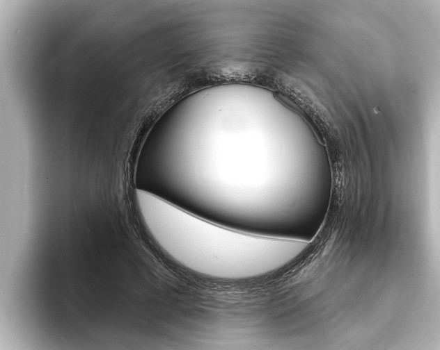 X0000093740593200710160751