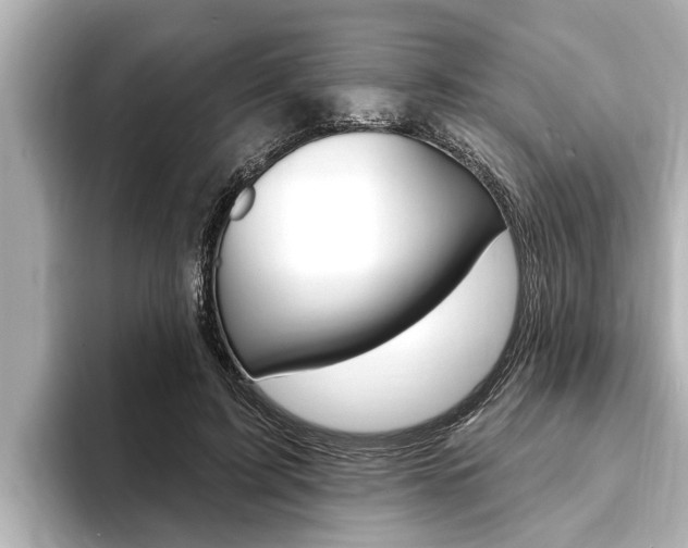X0000093740595200710160751