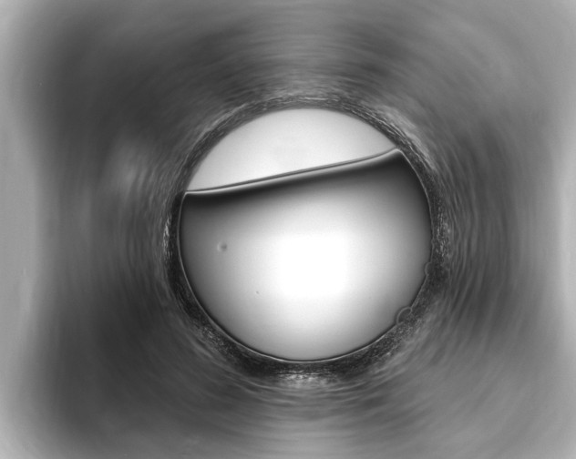 X0000093740596200710160751