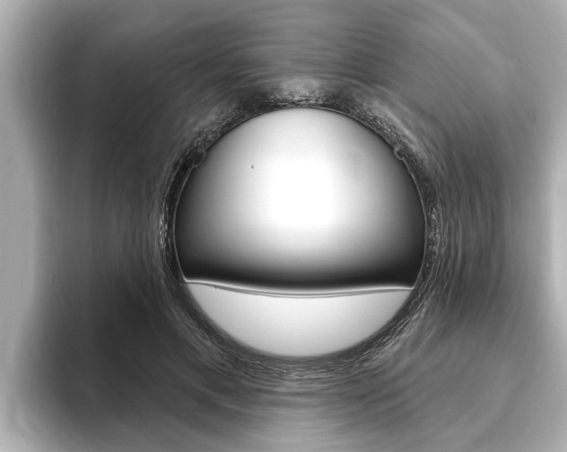 X0000093740597200710160751