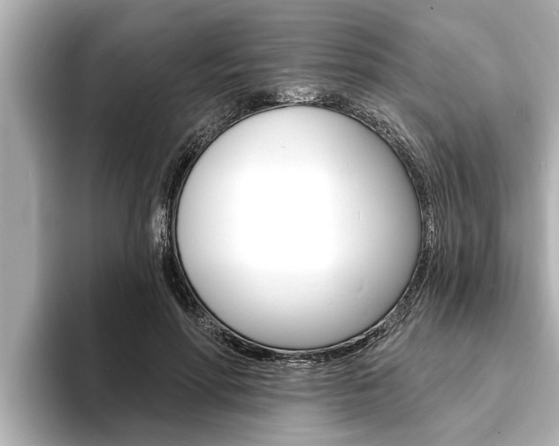 X0000093740598200710160751