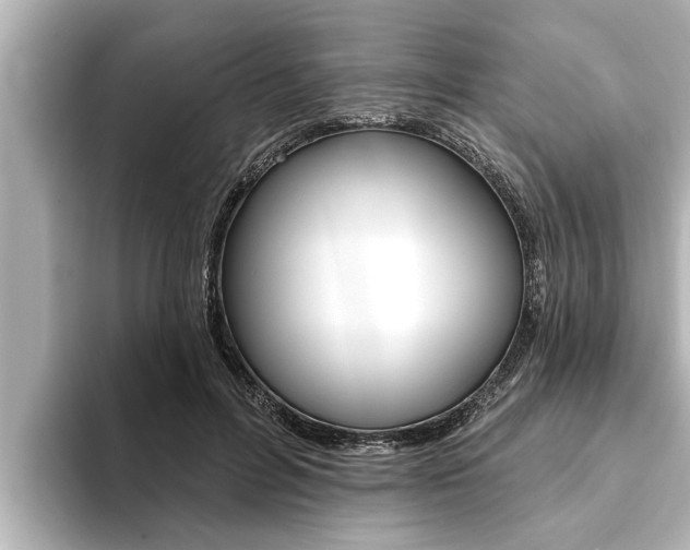 X0000093740600200710160751