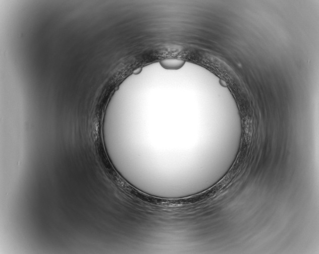 X0000093740602200710160751