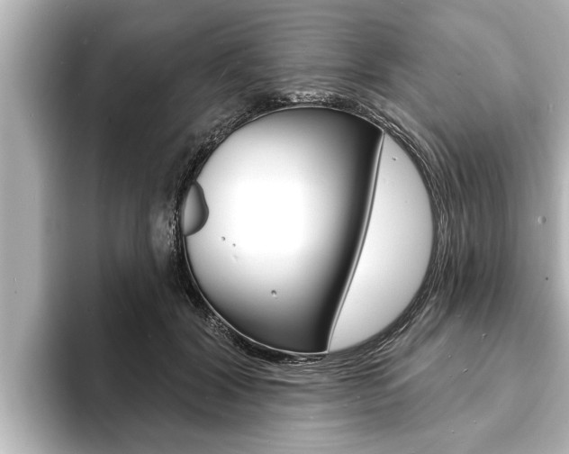 X0000093740604200710160751
