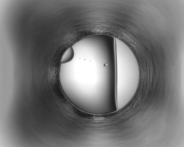 X0000093740605200710160751