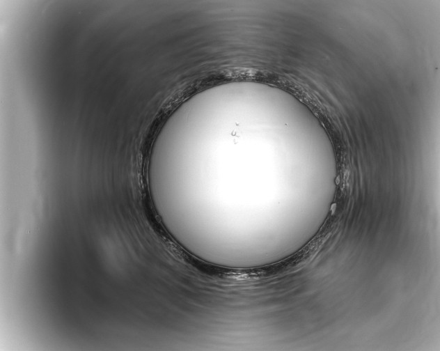 X0000093740616200710160751