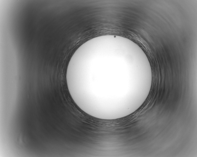 X0000093740621200710160751