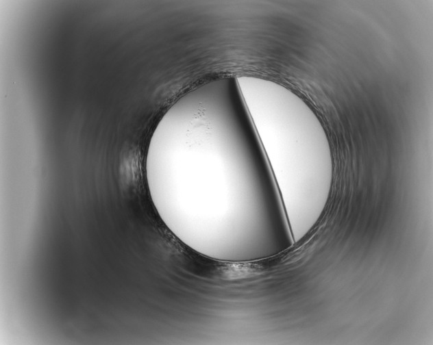 X0000093740623200710160751