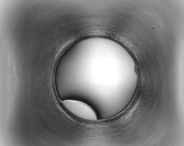 X0000093740625200710160750
