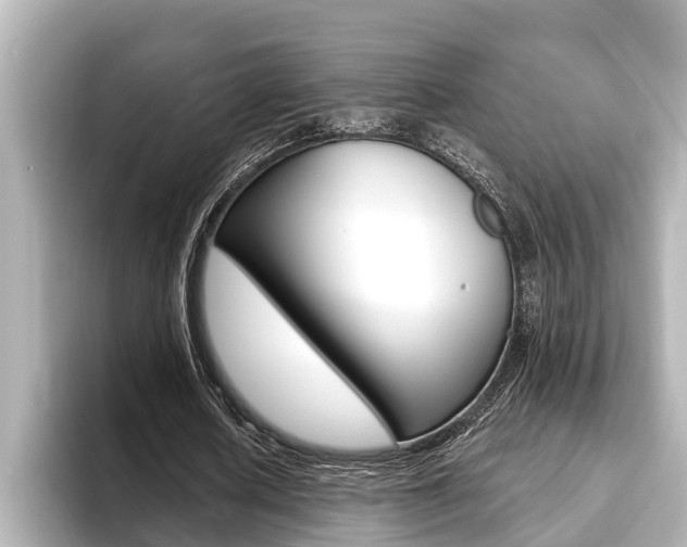 X0000093740626200710160750