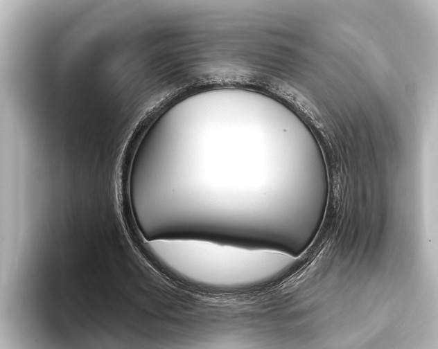 X0000093740629200710160750