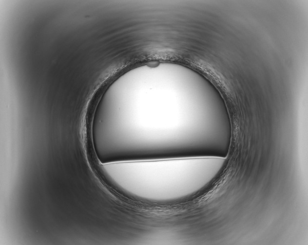 X0000093740630200710160750