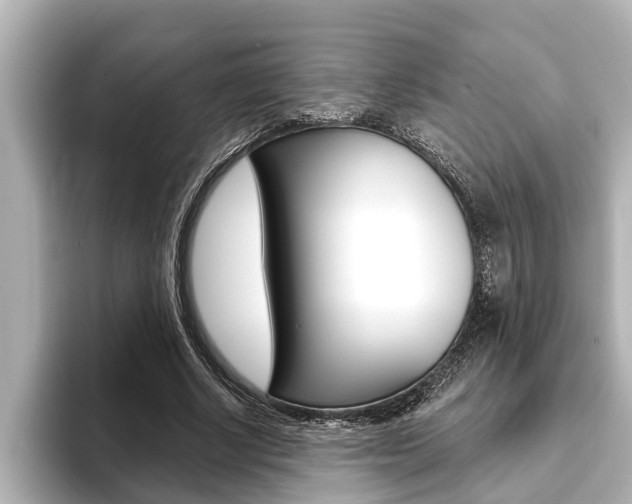 X0000093740634200710160750