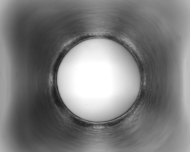 X0000093740636200710160750
