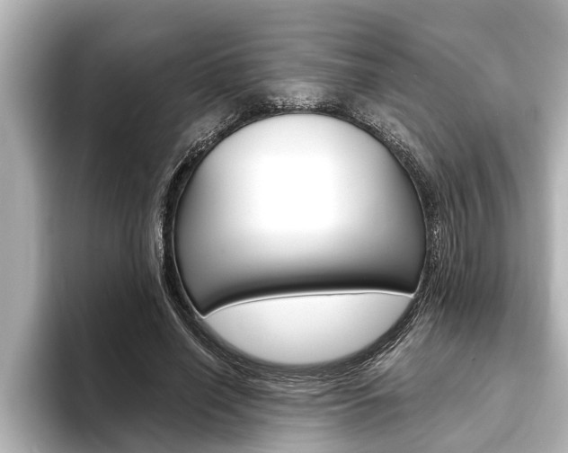 X0000093740638200710160750