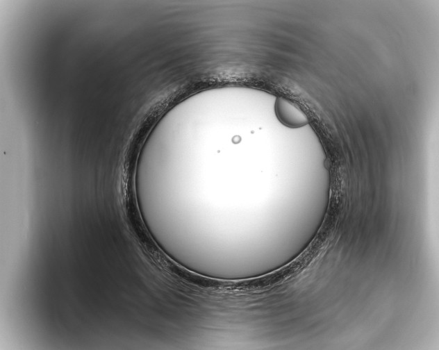 X0000093740640200710160750