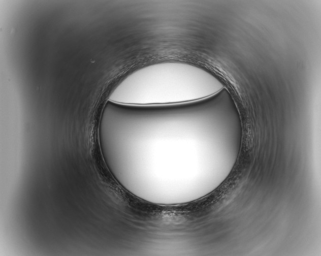 X0000093740641200710160750