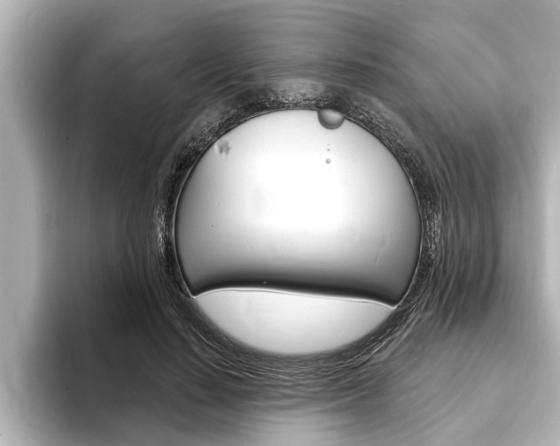 X0000093740644200710160751