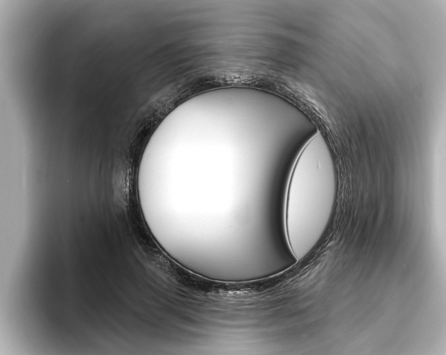 X0000093740645200710160751