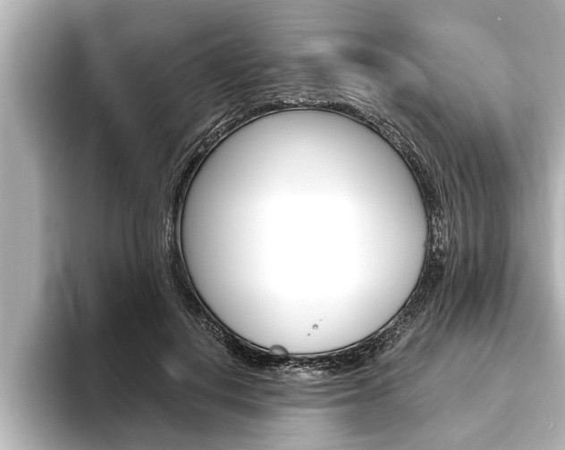 X0000093740648200710160751