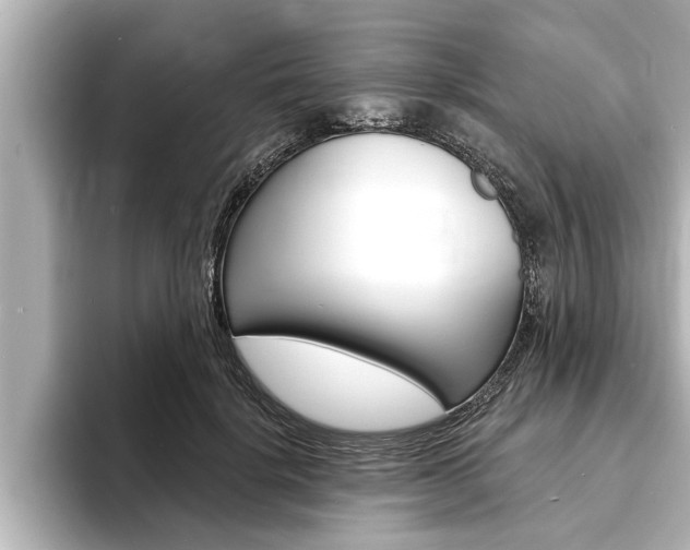 X0000093740652200710160751