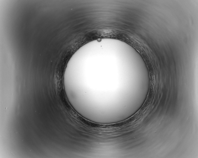 X0000093740653200710160751