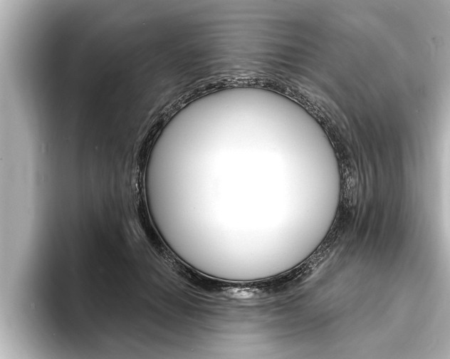 X0000093740654200710160751